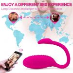 Best Vibrator Phone Controlled Vibrator G Spot Sex Toys 13
