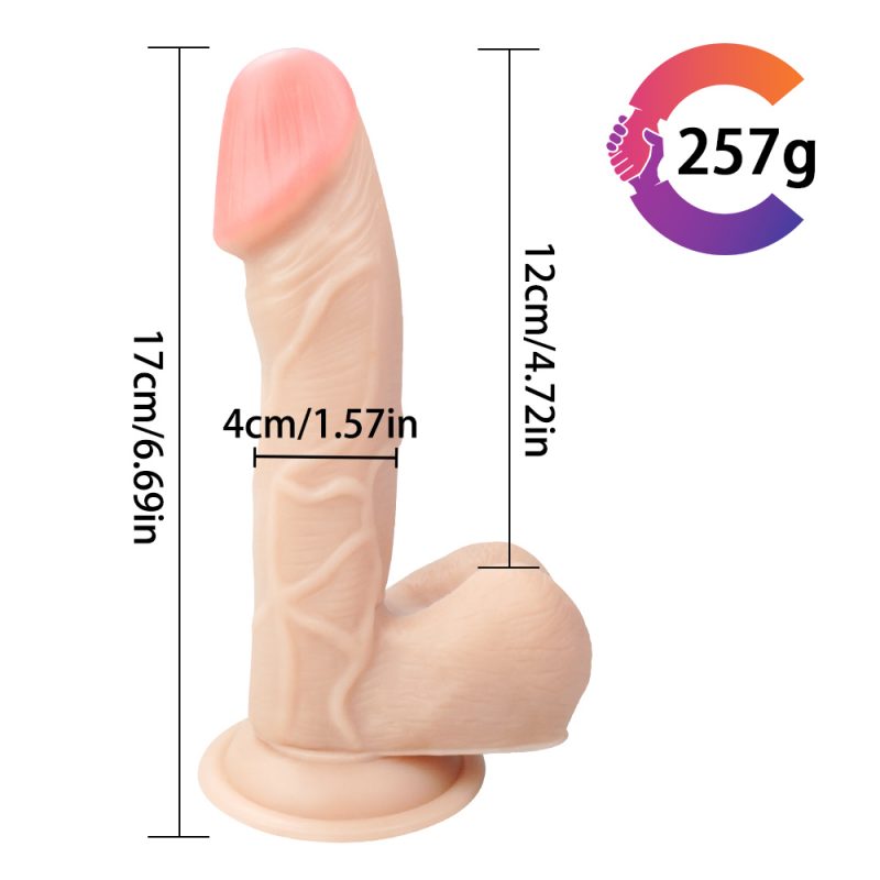 Best Dildo 6.69″ Little Lifelike Dildo With Suction Cup 3